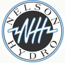 Trees hitting power lines cause lengthy power outage in Nelson