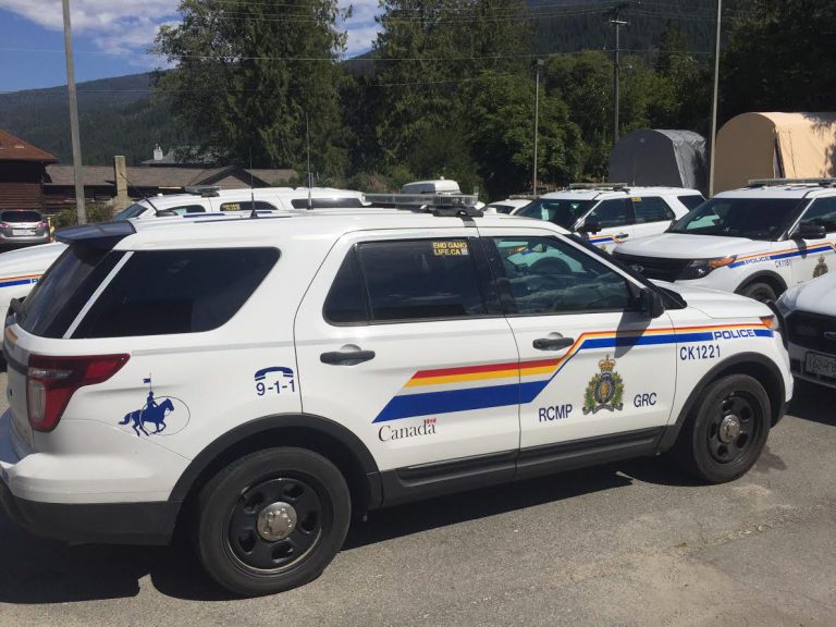 Kaslo, Nakusp Mounties honoured for bravery