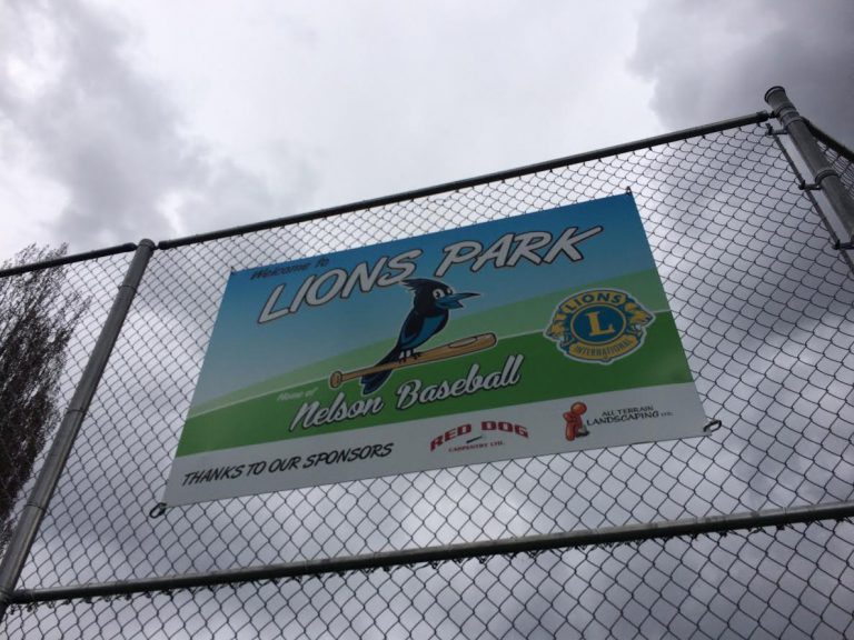Minor baseball unhappy with Lions Park solution