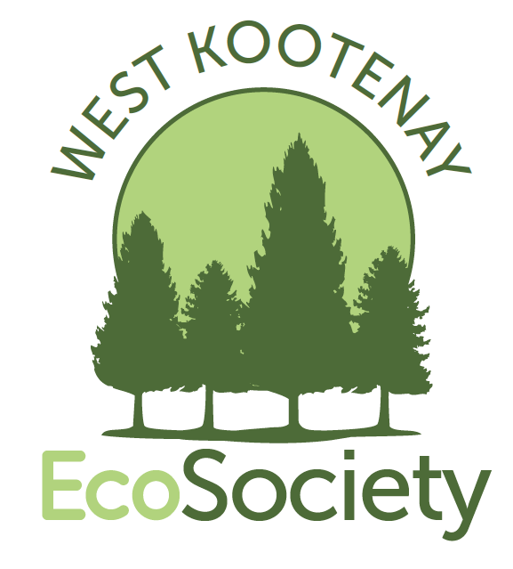 Eco Society reports on local residential carbon pollution