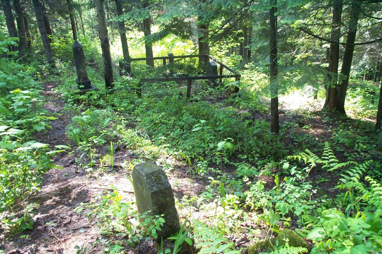 Study planned on historic Ymir cemetery