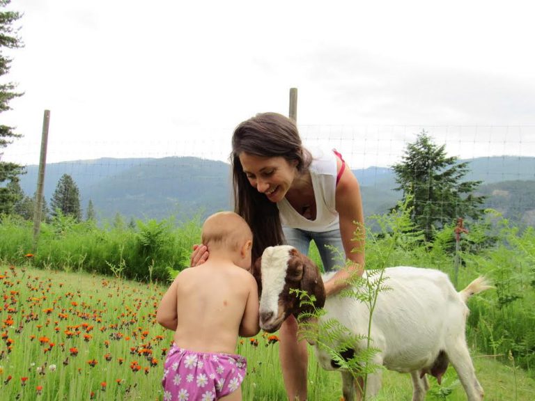 Neglected animals find sanctuary in Slocan Valley