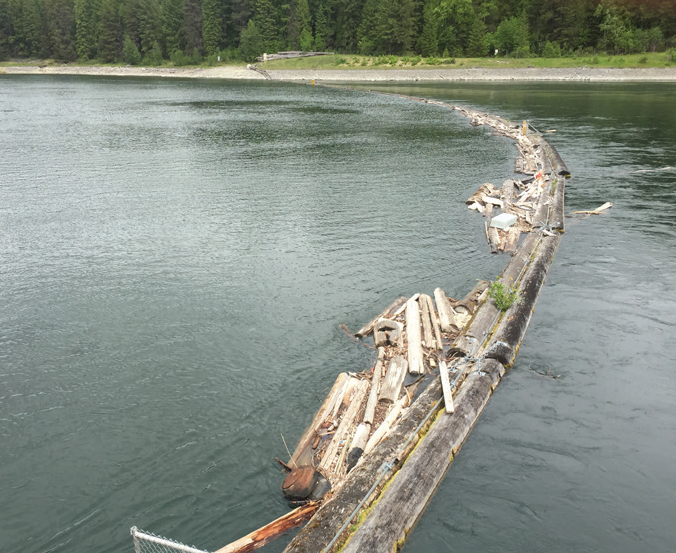 New boom planned for Kootenay Canal