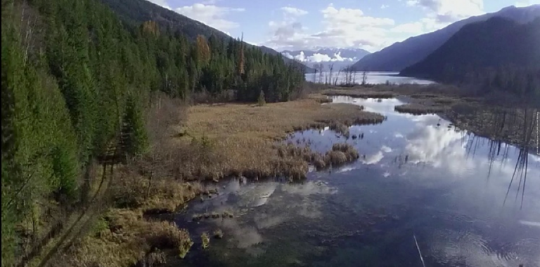 Valhalla Foundation acquires Bonanza Marsh
