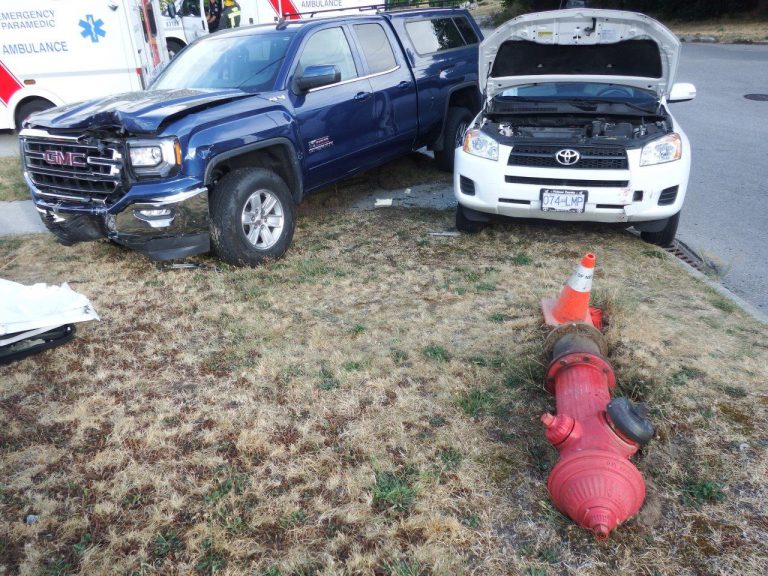 Passenger extricated after hydrant upended in Nelson
