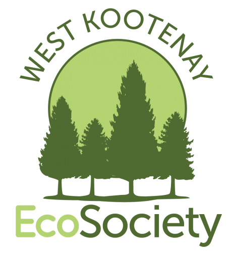 West Kootenay Eco-Society thrilled with Nelson’s renewable energy commitment