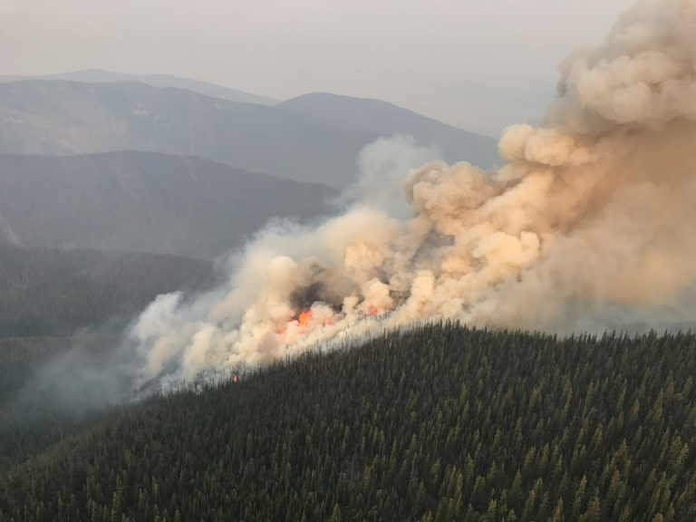 A busy summer for the Southeast Fire Centre