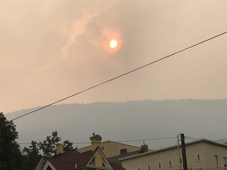Nelson air quality five times beyond acceptable limit