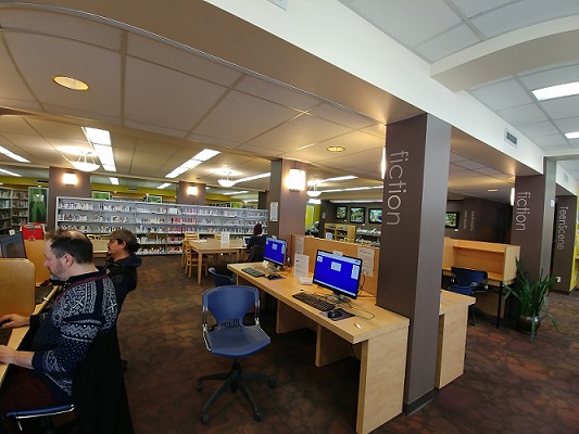 Taxpayer approval sought to expand Nelson, Salmo library services