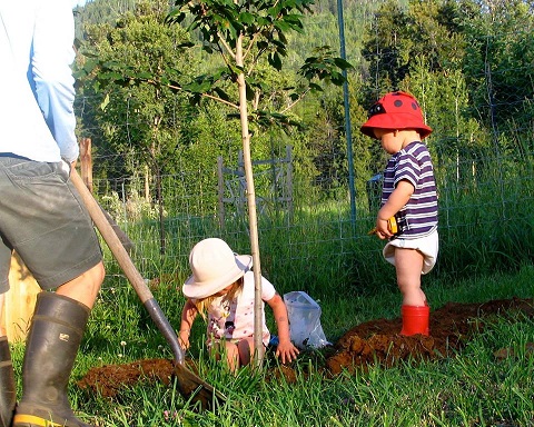 Seedy Saturday gets Nelson ready for gardening season