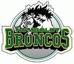 Humboldt Broncos tragedy felt in Nelson