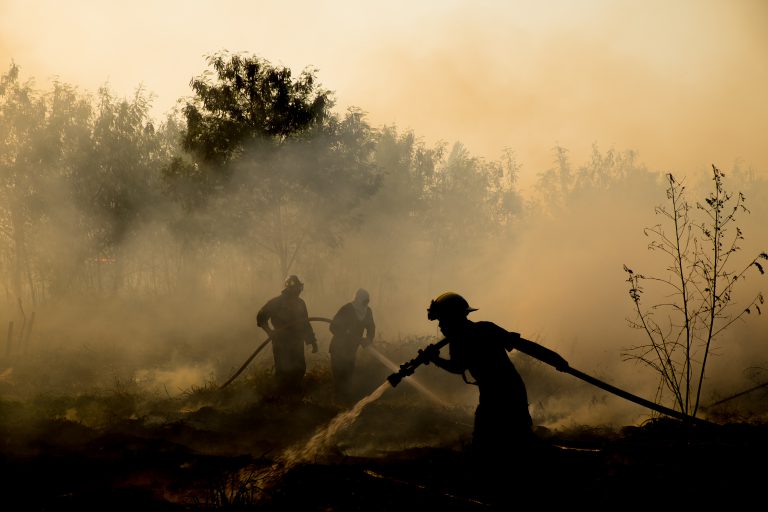 Planned burn set to begin in West Arm Park area