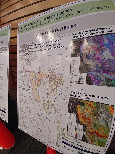 West Arm Park and Selous Creek areas targeted for fuel management projects