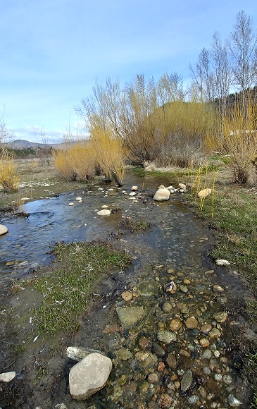 Flow monitoring data to be collected for Quartz Creek