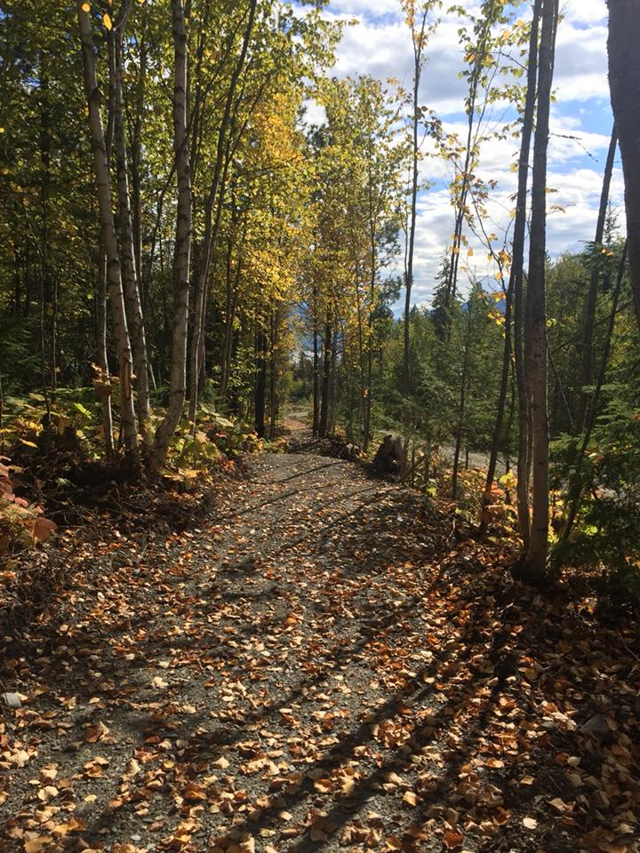 Mt Abriel accessible cycling trails receive Provincial funding