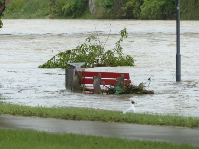 Flood warning issued for the region 