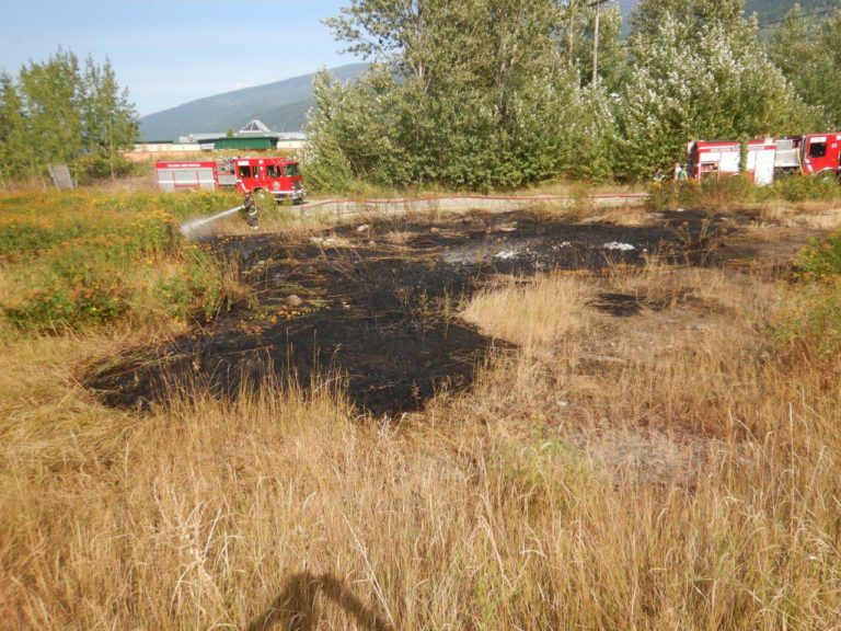 Firefighters extinguish grass fire near Nelson Airport