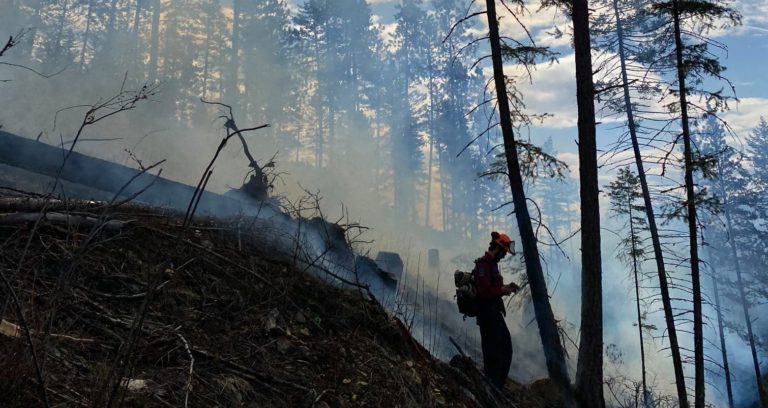 Prescribed burn planned near Kokanee Creek Park