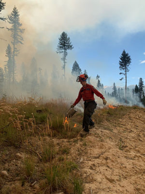 Controlled burn planned northwest of Meadow Creek