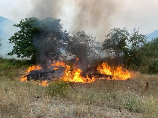 Brush fire breaks out in Nelson