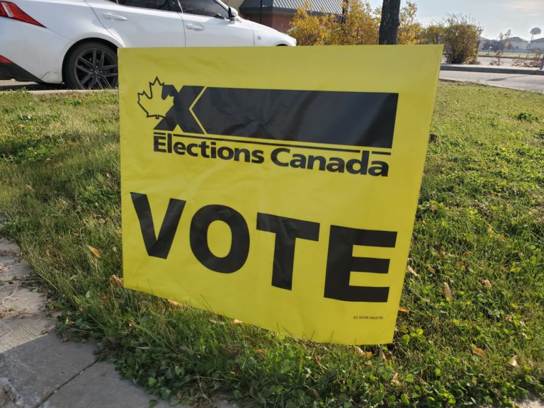 Live election coverage