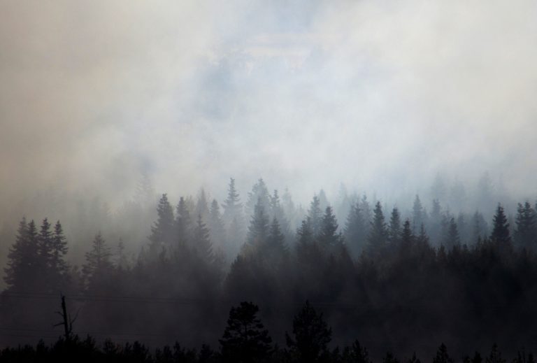 BC Wildfire Service warns of increased fire risk