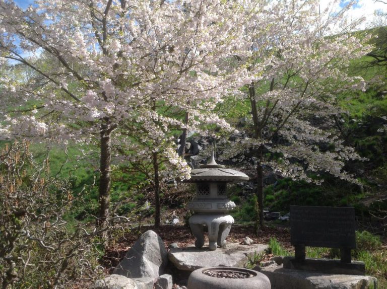 Nelson Izu-Shi Friendship Society recognized with civic award