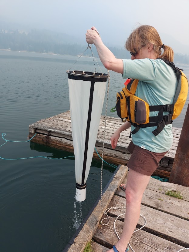 Local waterways remain free of invasive mussels