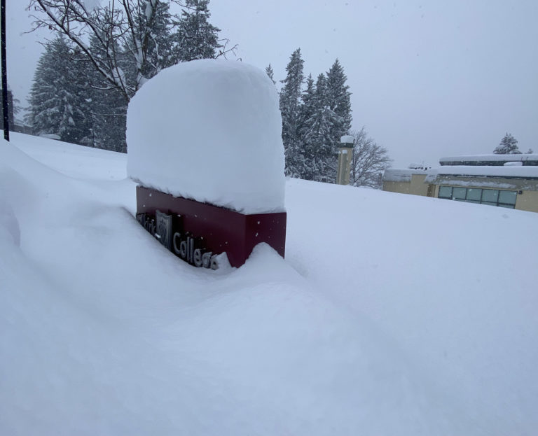 Selkirk College, SD8 declare snow day