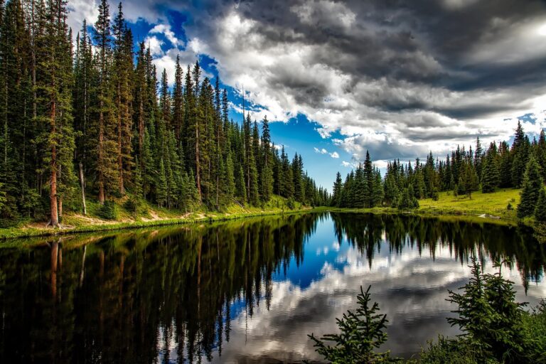 West Kootenay parks poised to grow