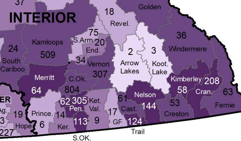 New Nelson COVID-19 cases decline again