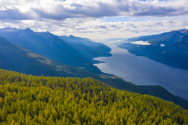 Wildsight calls for halt to Argenta Face logging