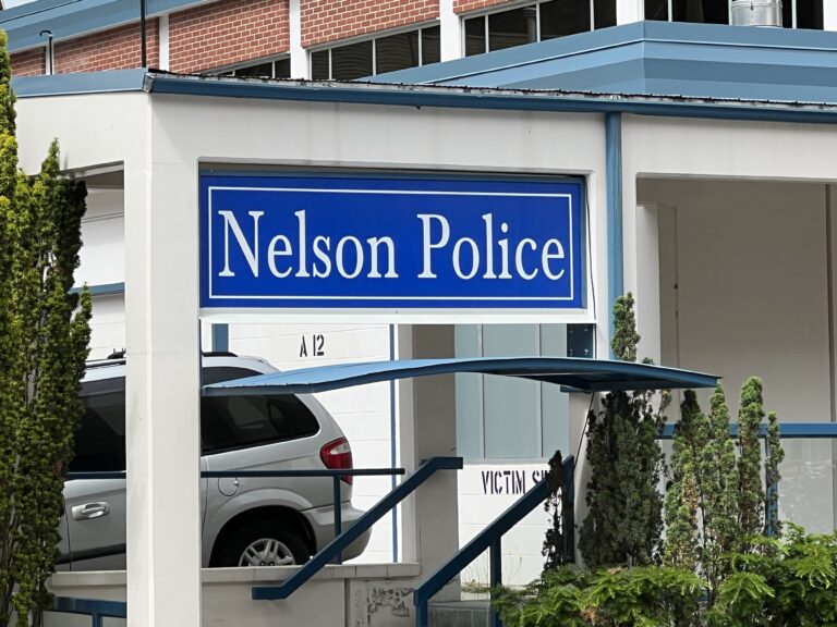Man too chicken to face Nelson police