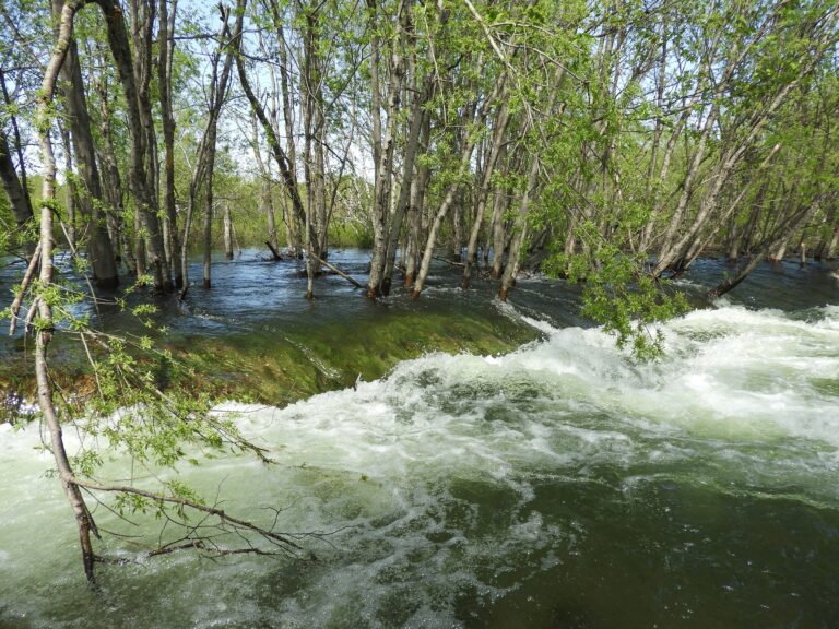 Steep creeks pose economic risk, Nelson council hears 