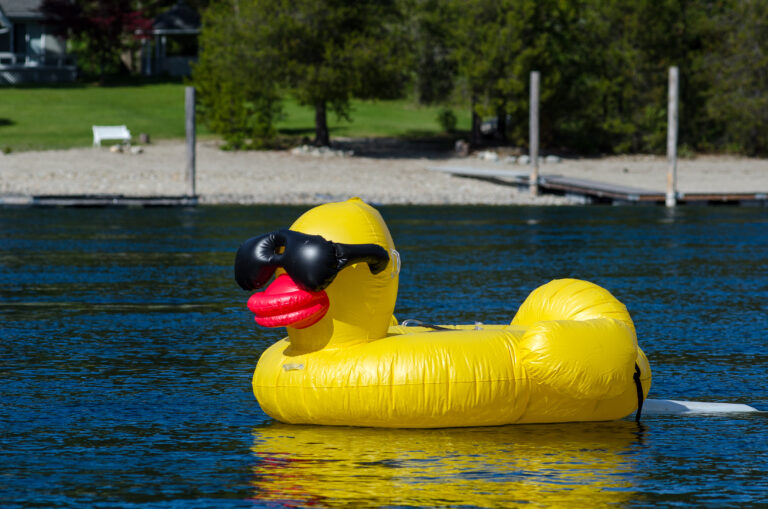 Kootenay Lake duck race is something to quack about