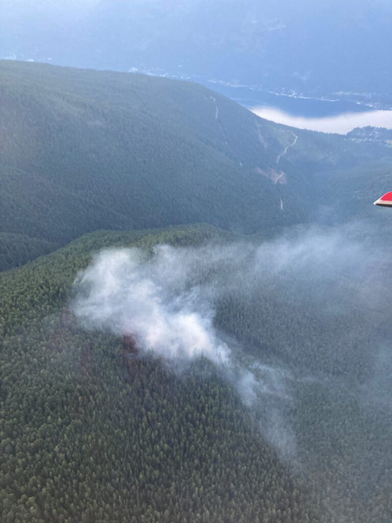 West Kootenay wildfires show little growth