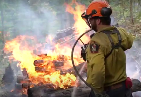 As wildfire season approaches, Nelson residents are urged to prepare