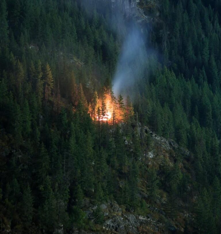 UPDATED: Elephant Mountain wildfire extinguished
