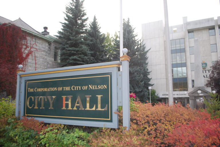 Anti-idling bylaw motion defeated by Nelson city council