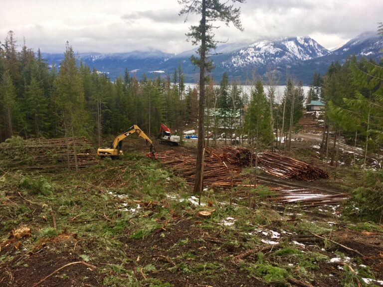 Projects reduce wildfire risk in Kaslo area