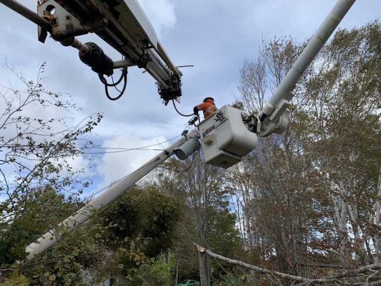 FortisBC crews from Kootenays help with Hurricane Fiona cleanup