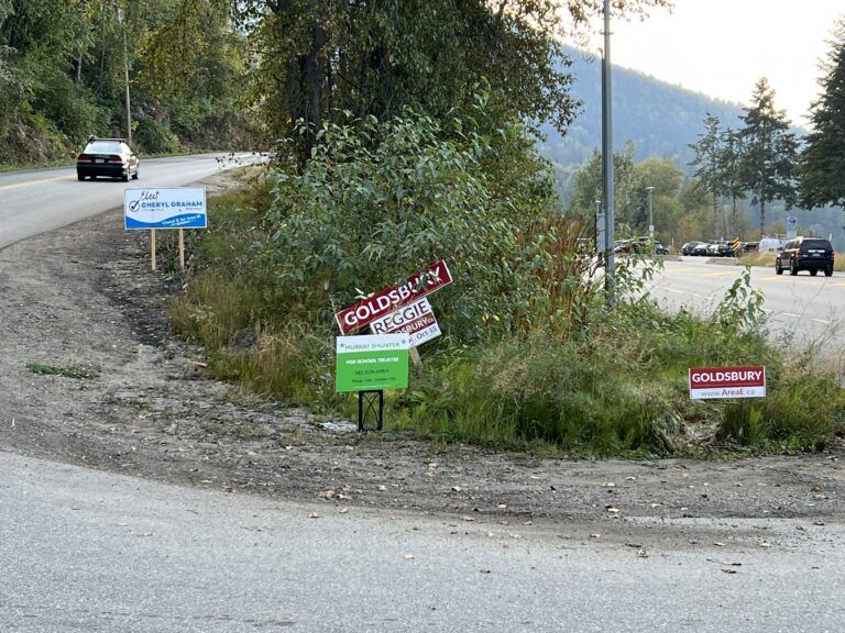 Area E election signs vandalized