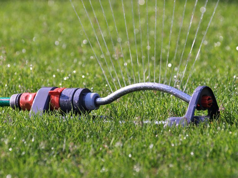 Possible drought conditions has B.C. urging you to conserve water