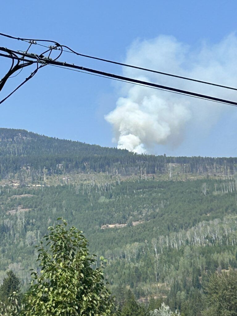 Wildfire in Goose Creek out of control