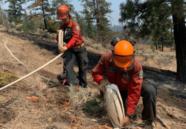 Prescribed burn scheduled for Nelson’s Hwy 6/3A interchange