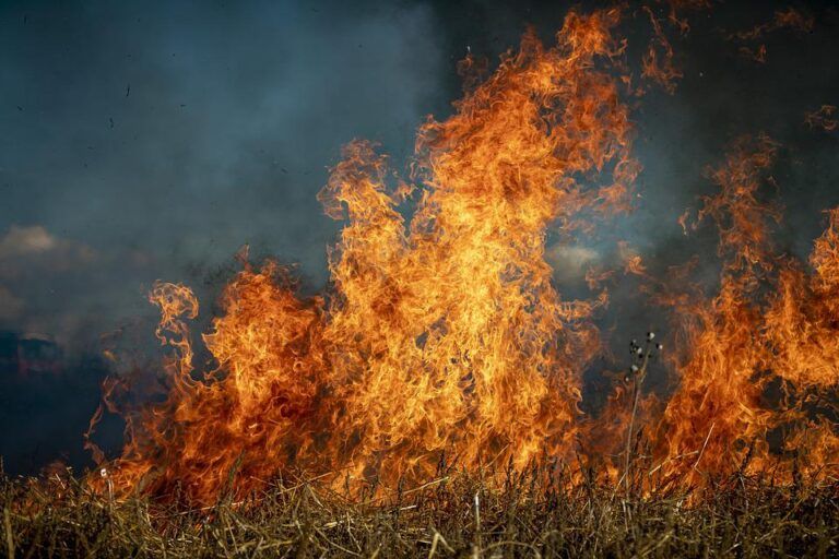 Residential burn period commences in Nelson
