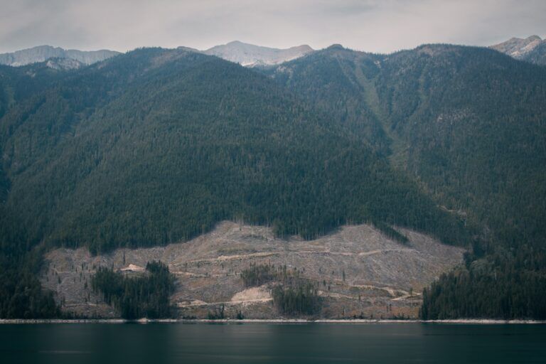 Protest blocks Duncan Lake logging