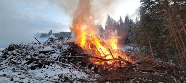 Controlled burn initiated above Mountain Station