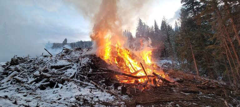 Controlled burn underway above Nelson’s Mountain Station