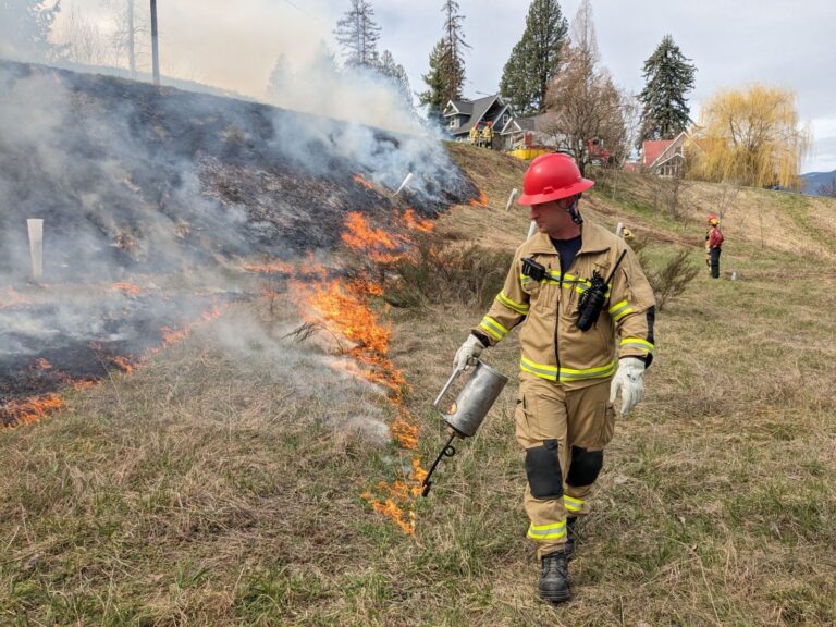 Nelson Fire & Rescue Services Successfully Completes Prescribed Burn